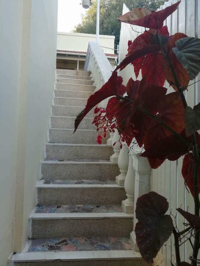 Helena'S Rooms كاسيوبي المظهر الخارجي الصورة